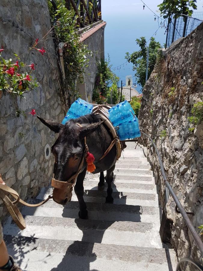 Estate4Home - Goat Path ポジターノ エクステリア 写真